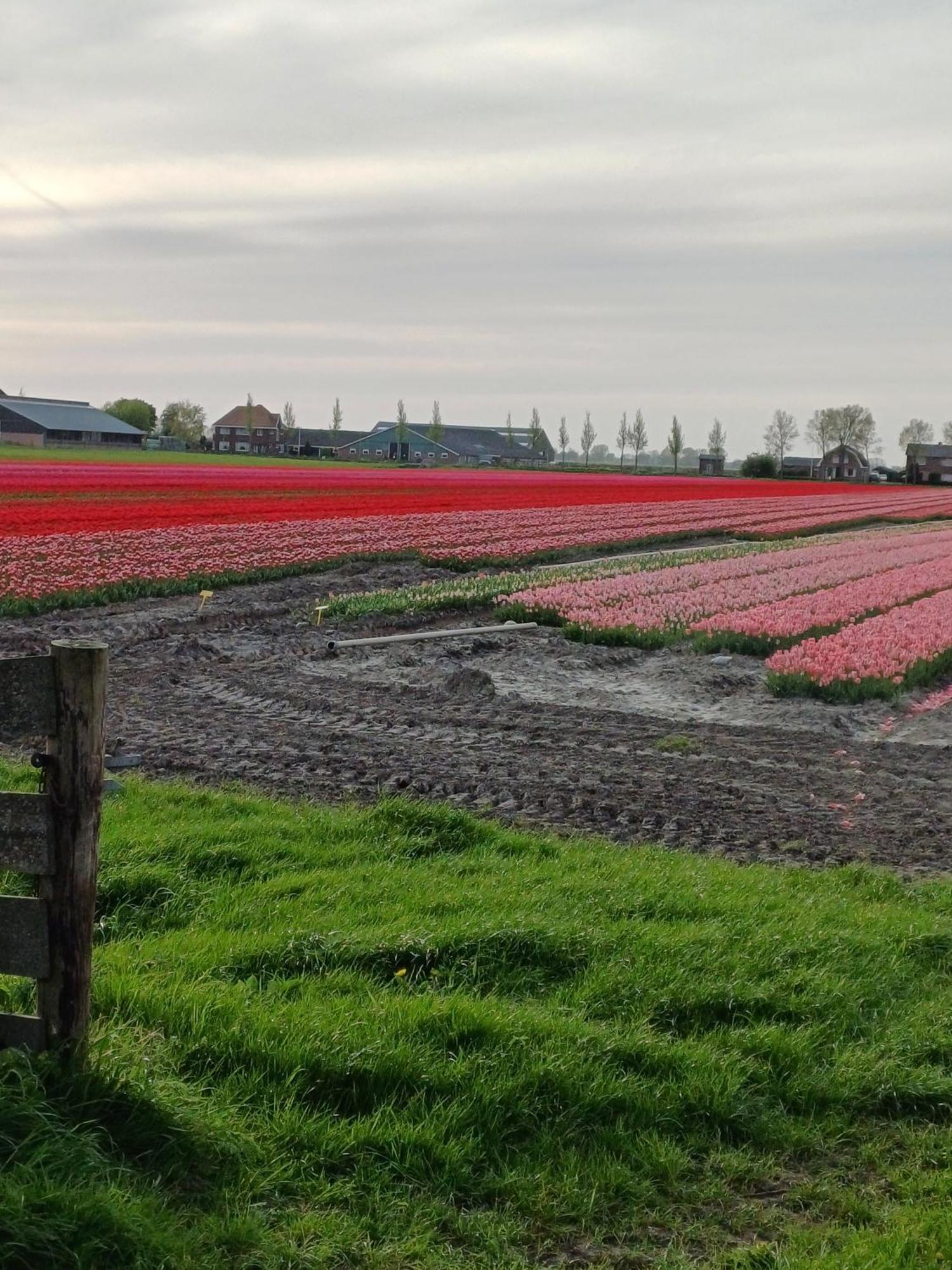 Kota Wadway Villa Spanbroek Dış mekan fotoğraf