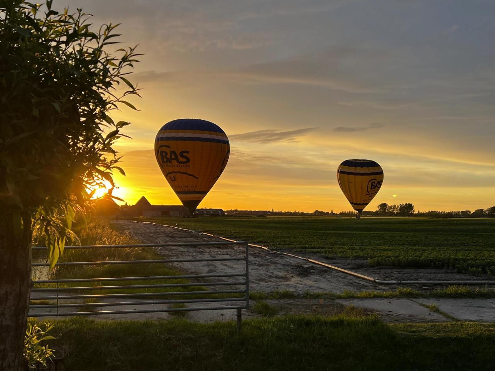 Kota Wadway Villa Spanbroek Dış mekan fotoğraf